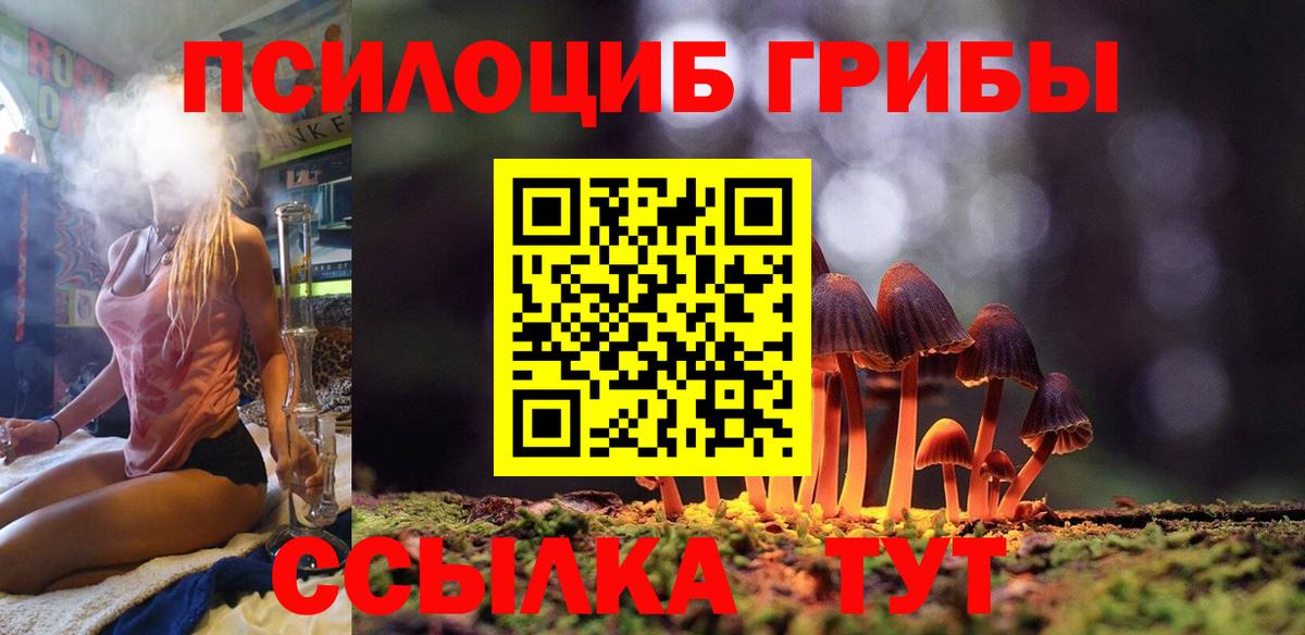 Галлюциногенные грибы Psilocybine cubensis Тамбов