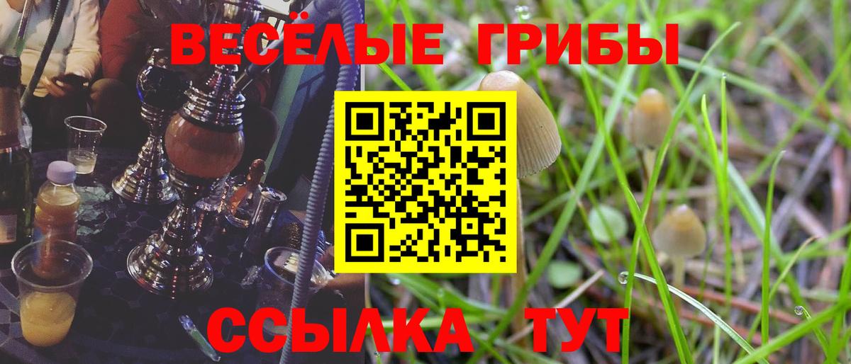 Псилоцибиновые грибы Cubensis  Вход с VPN  Тамбов 