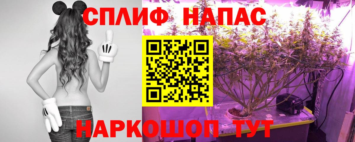 Тамбов  Канабис White Widow  Конопля LSD WEED  МАРИХУАНА гибрид  Бошки марихуана план  Вход с VPN 